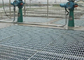 Στριμμένο κιγκλίδωμα πατωμάτων ανοξείδωτου φραγμών, βιομηχανικές σχάρες πατωμάτων ISO9001 προμηθευτής